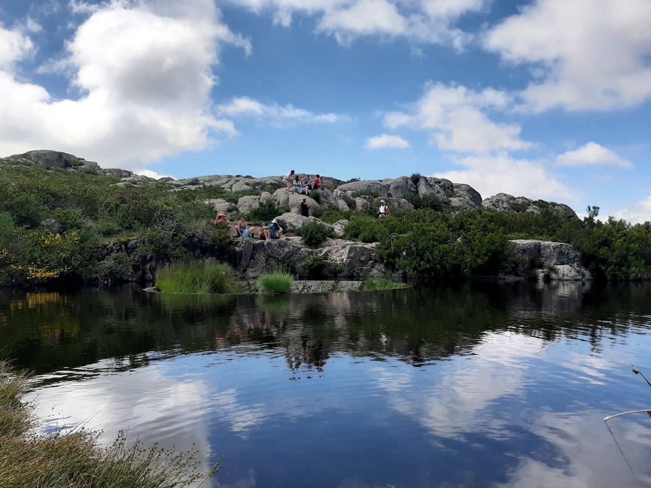 20200628_155424.jpg 20200628_155424.jpg