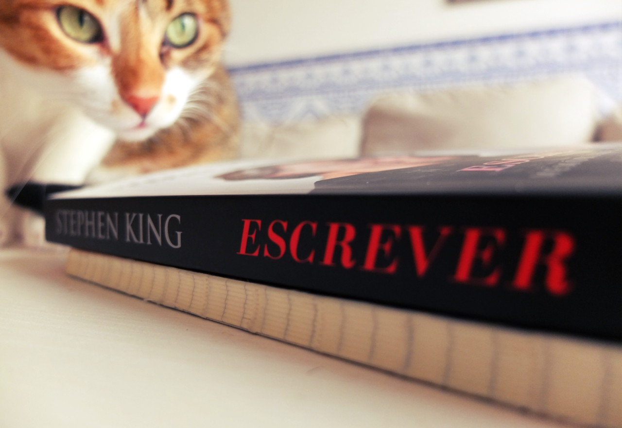 escrever-mar-maio-stephen-king.png