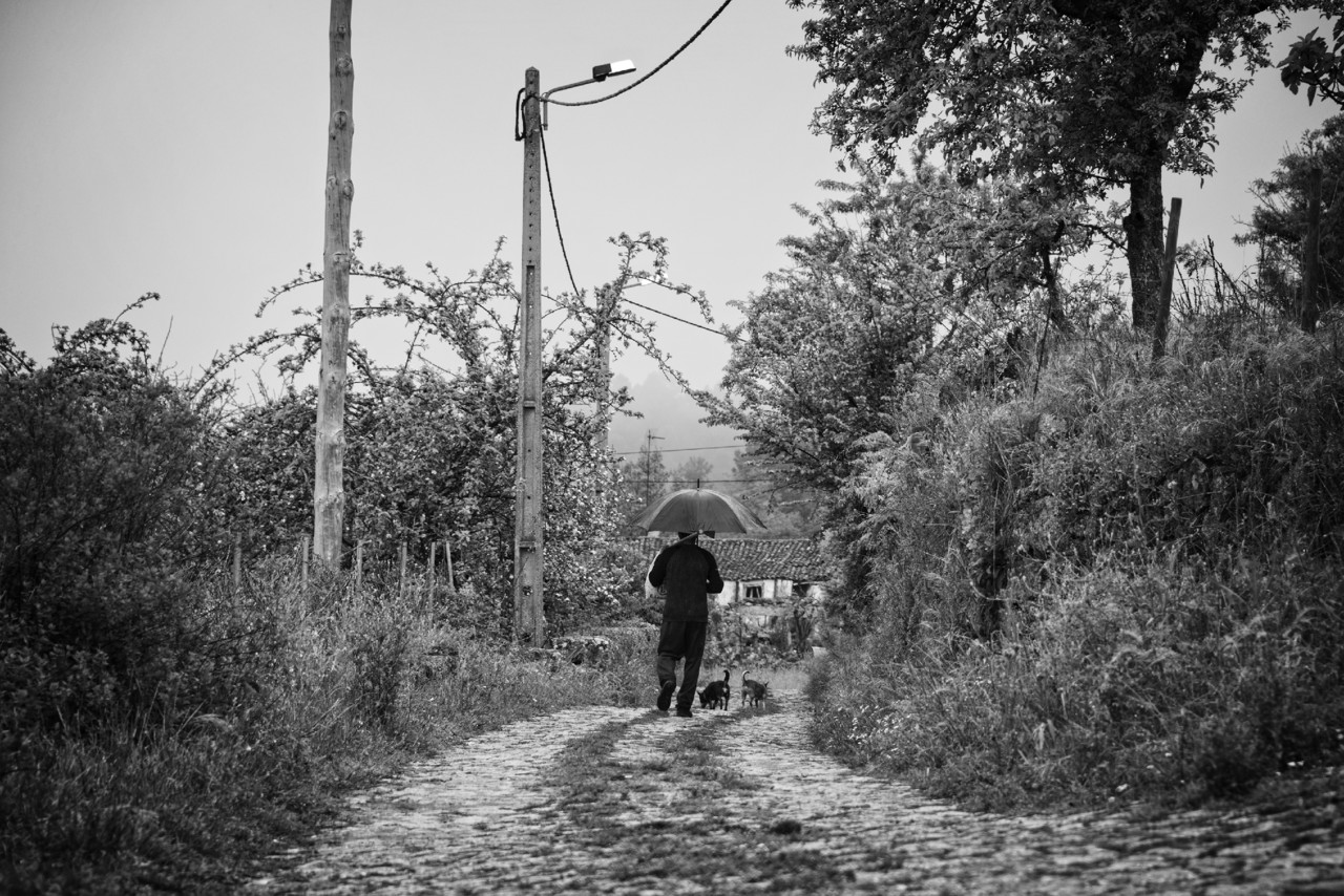 Santo Ovaia, etc 065 - cópia copy.jpg Santo Ovaia, etc 065 - cópia copy.jpg