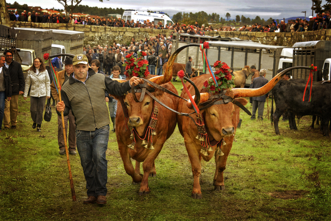 Santos 2015 (1) 150 copy.jpg