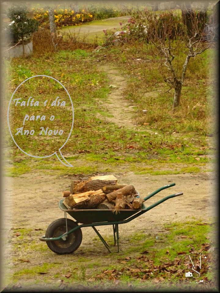 30Dez DSC03686_ms.JPG