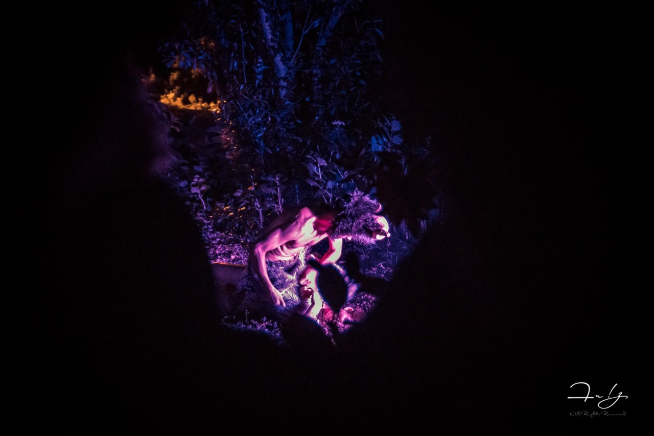 61902445_2157238560991639_4701724802287665152_o.jp