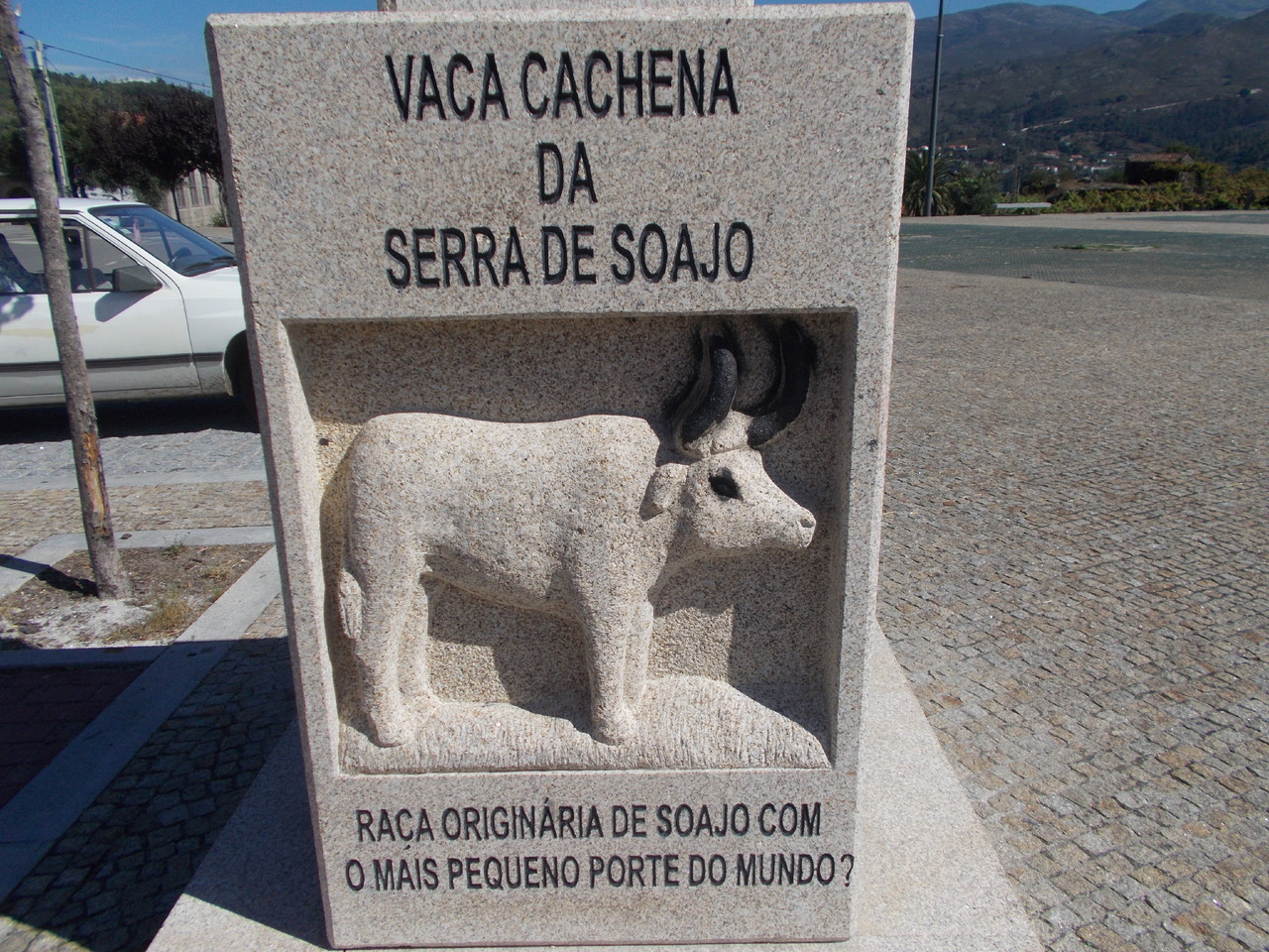 DSCN5305.JPG DSCN5305.JPG