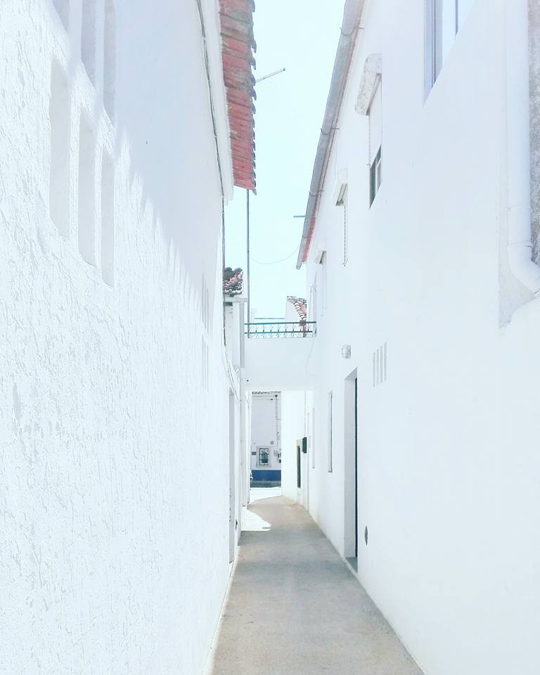 azinhaga8.jpg azinhaga8.jpg