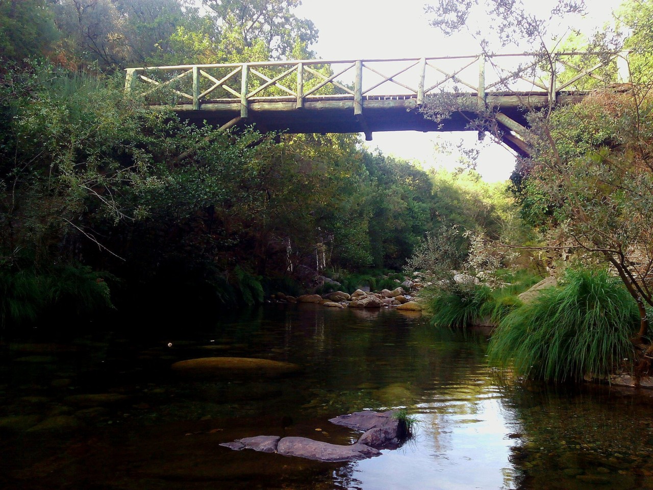 Ermelo (23).jpg Ermelo (23).jpg