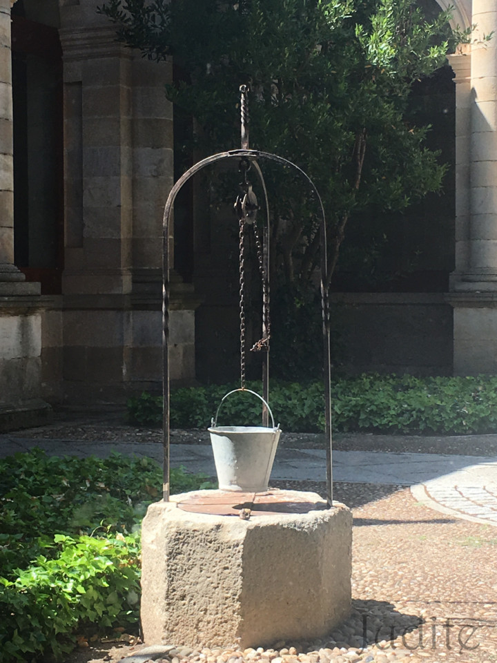 IMG_7021.jpg IMG_7021.jpg