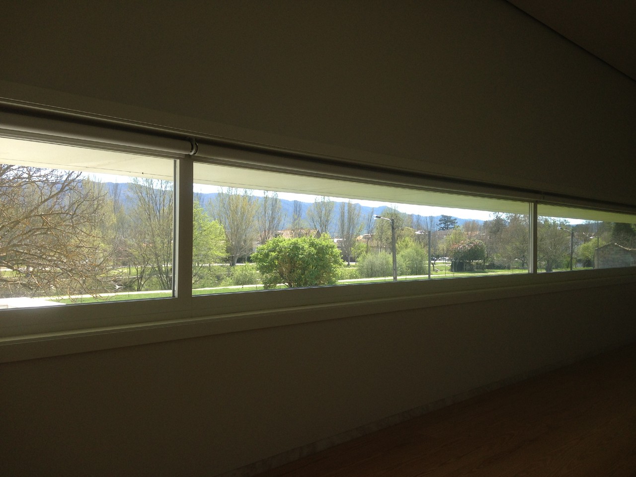 IMG_8408.JPG IMG_8408.JPG