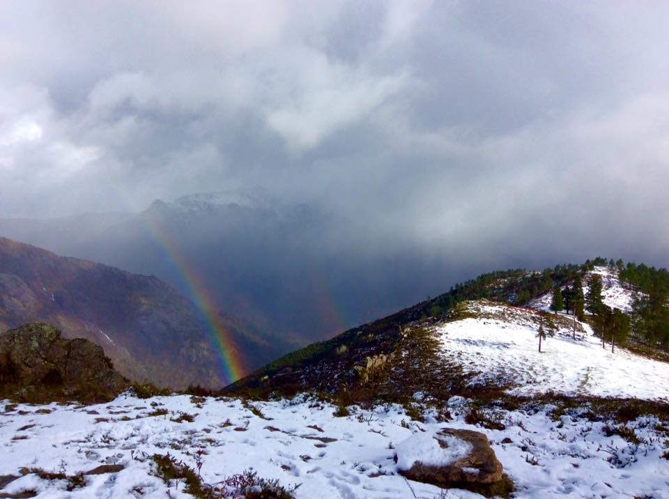 12744234_1654759938121158_7513735775429883358_n (1