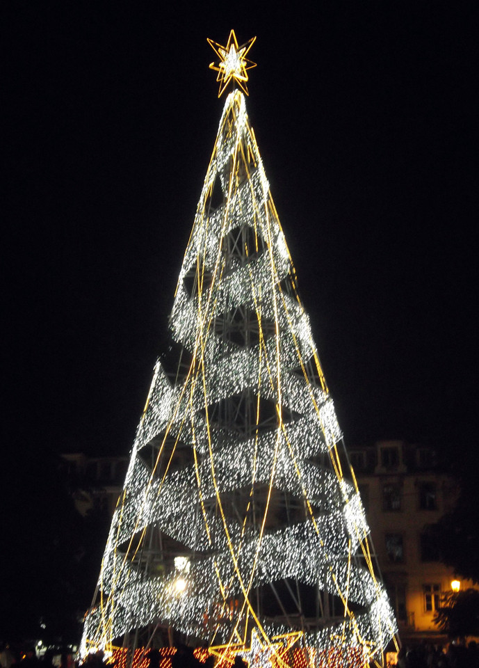 christmas tree.jpg