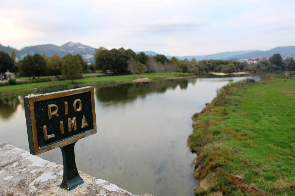 IMG_8182.JPG IMG_8182.JPG