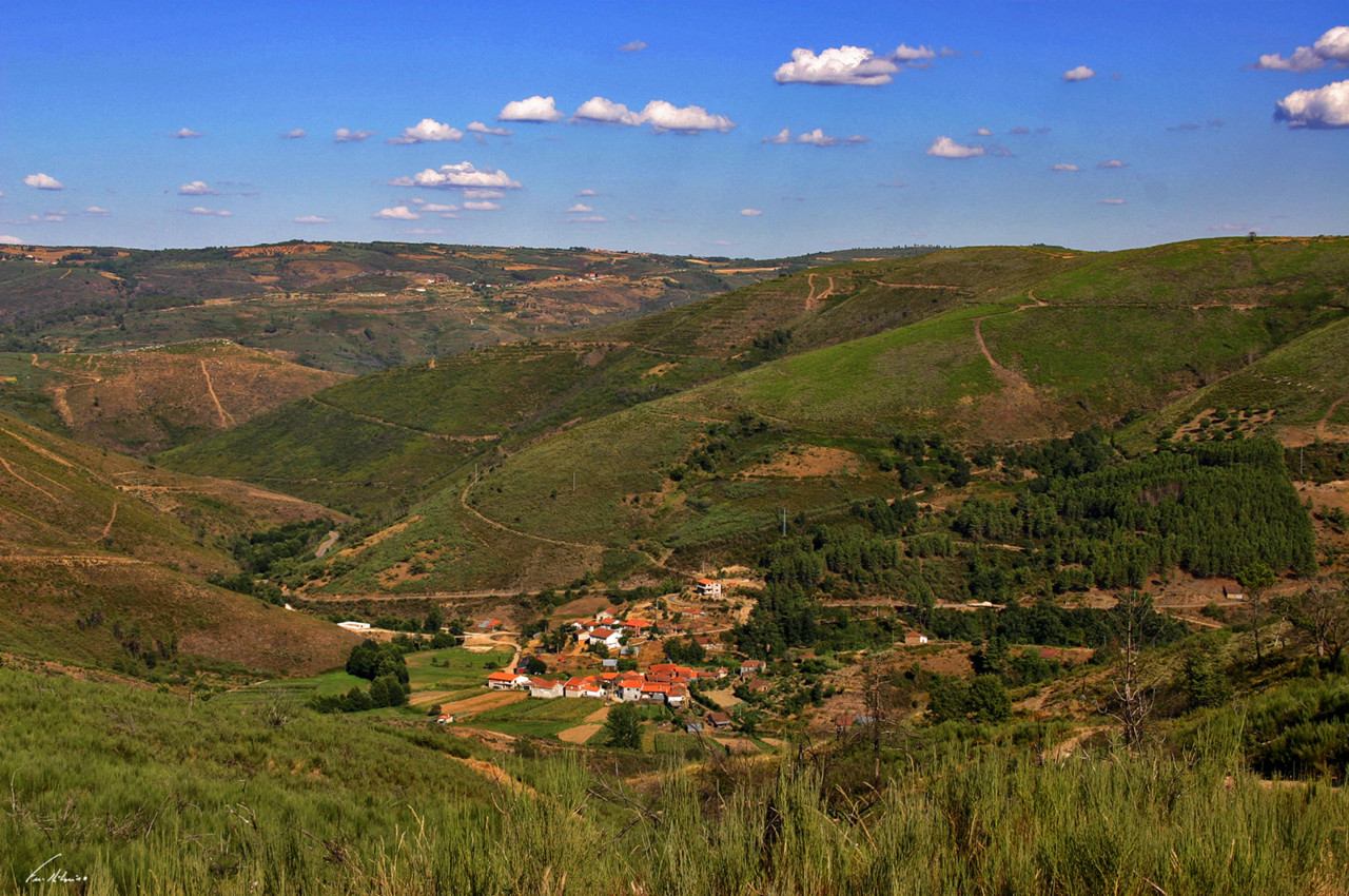 1600-aveleda (98).jpg