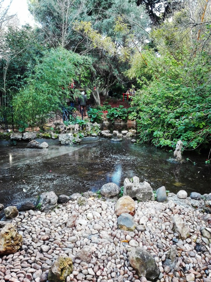 jardim tropical belem (8).jpg