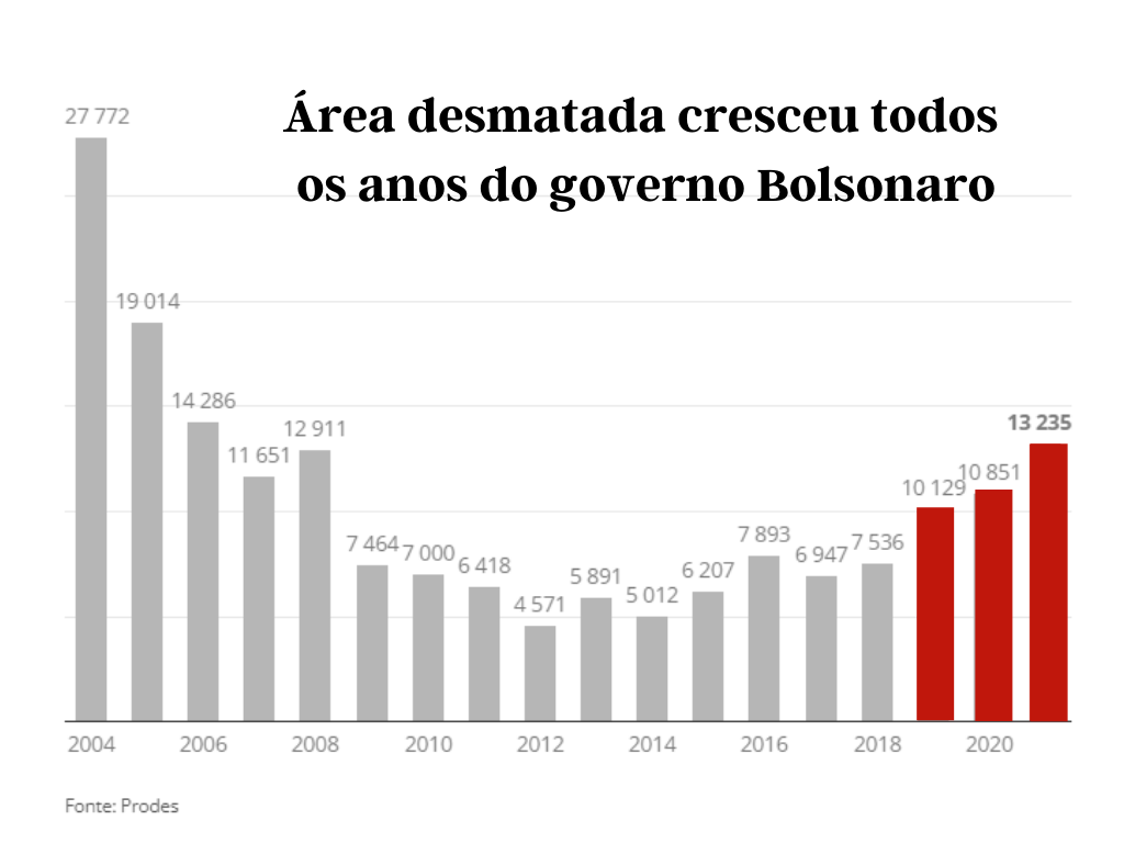 desmatamento-1.png