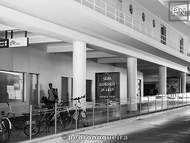 Jul_2023_013 650px.jpg