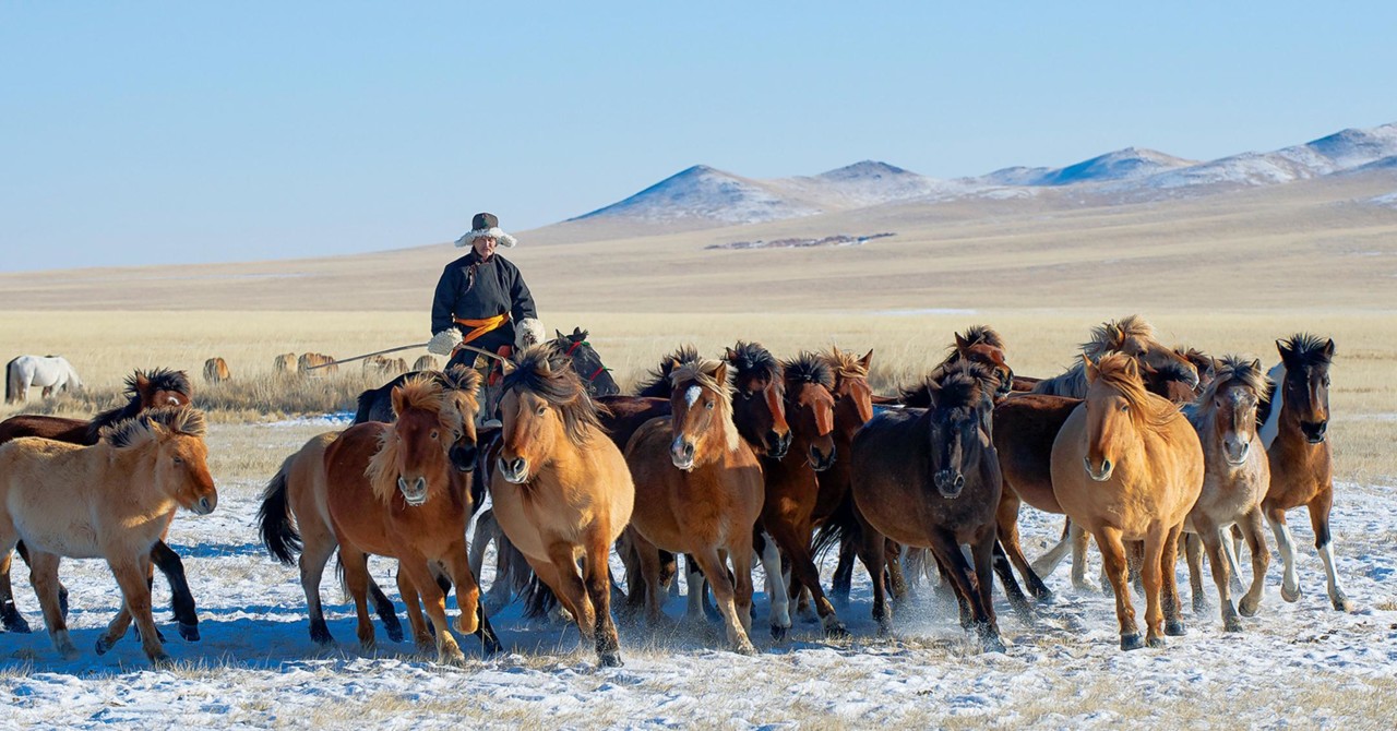 GM-Travel-SustainableTourismCountries-Mongolia-152
