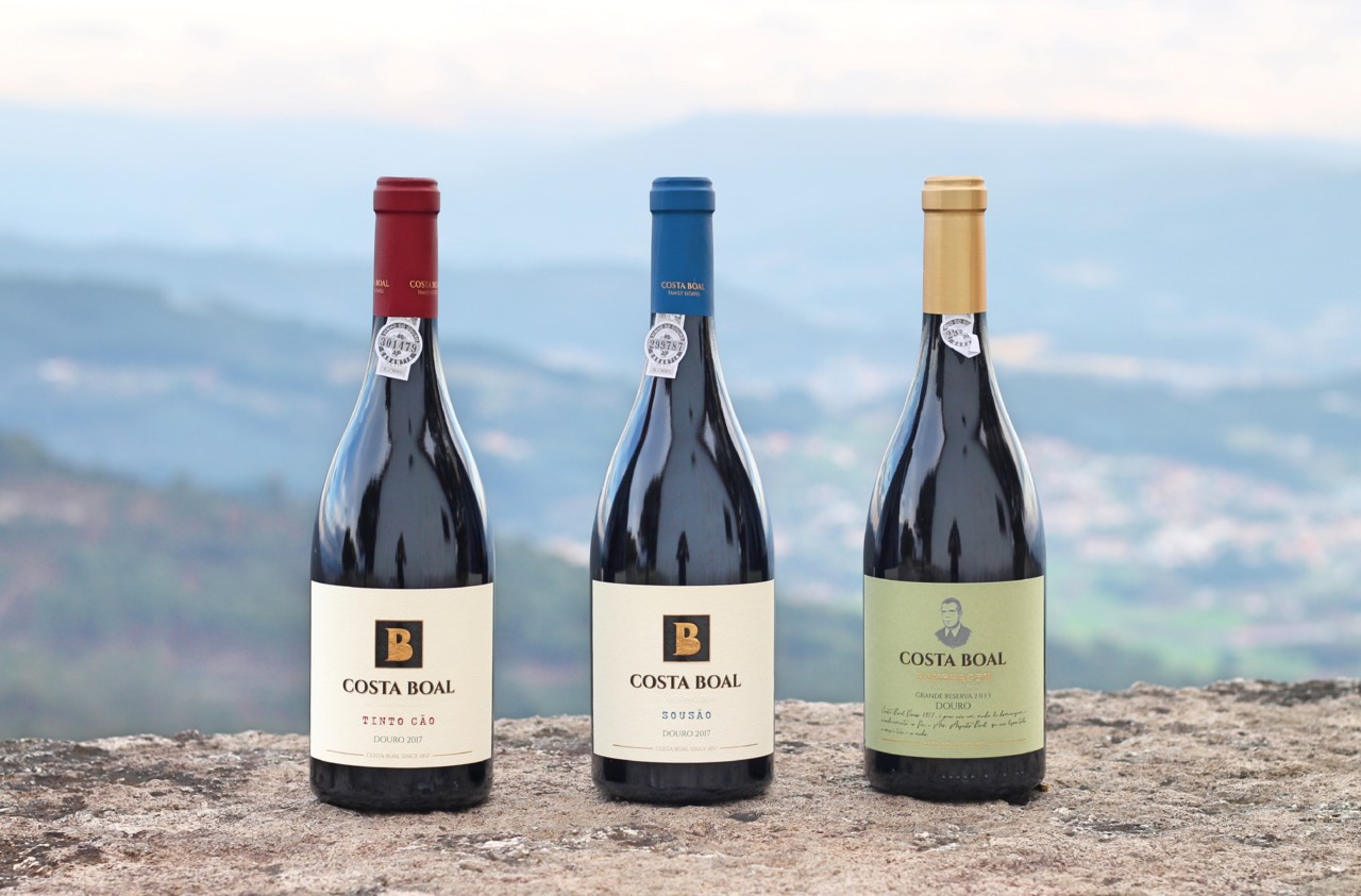 Novas colheitas Costa Boal