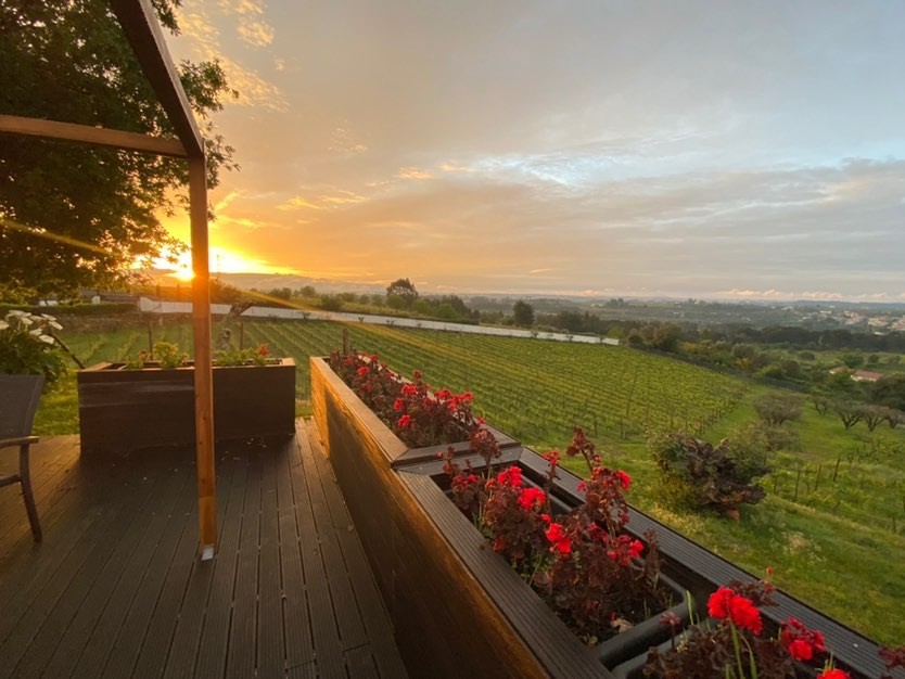 vinhos portugueses do Dão