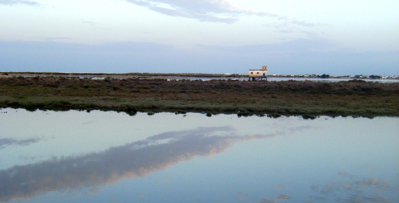 Branca Noiva do Mar 09.JPG