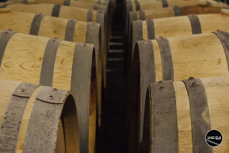 Campo_Maior_Originais-001021.jpg Campo_Maior_Originais-001021.jpg