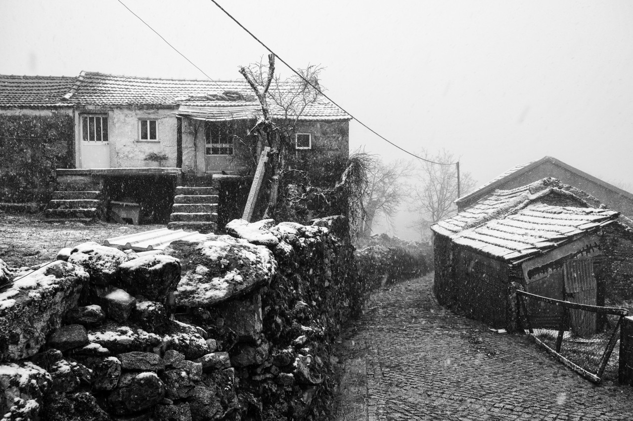 DSCF2987 - cópia copy.jpg DSCF2987 - cópia copy.jpg