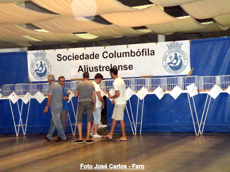 Aljustrel 2017 038.JPG