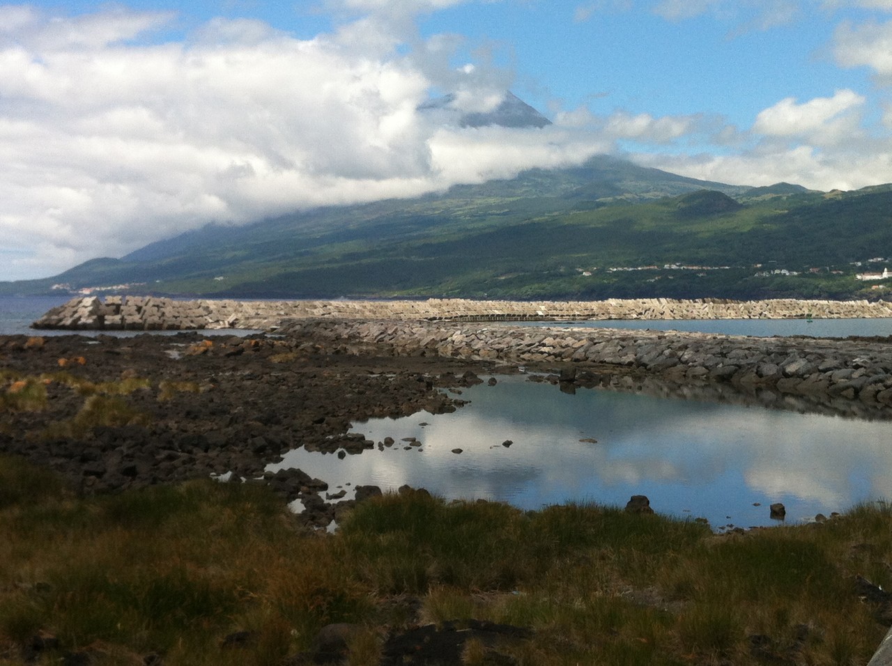 IMG_4354.JPG IMG_4354.JPG