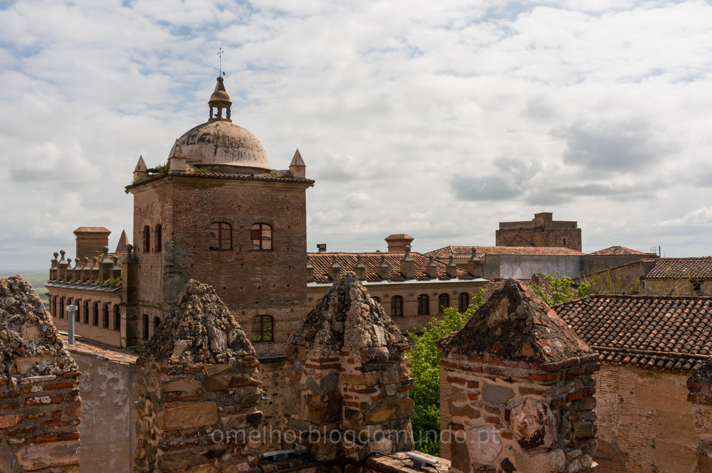 _DSC6226.jpg _DSC6226.jpg