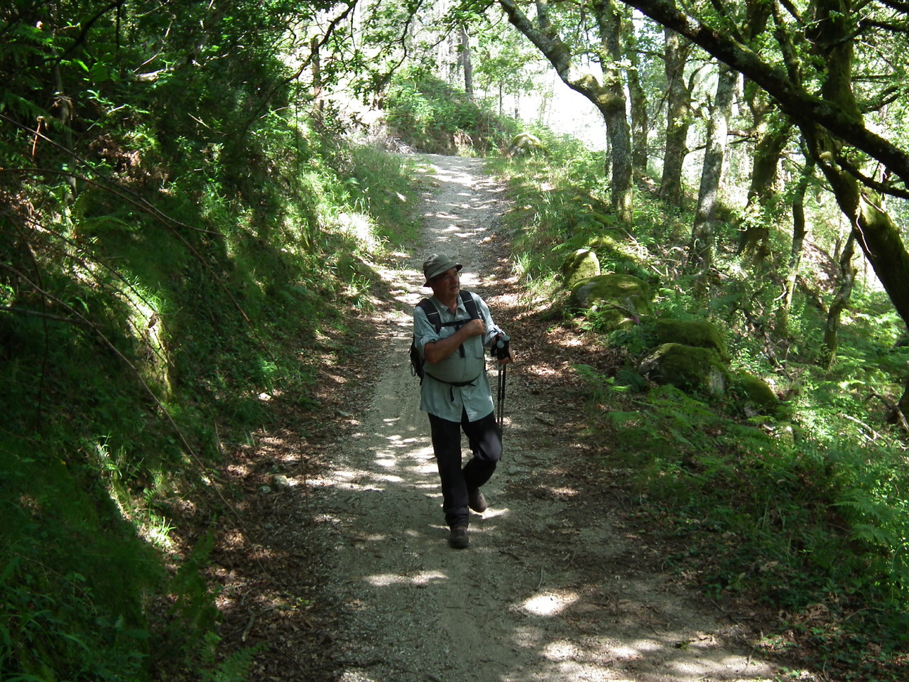 DSCF2203.JPG DSCF2203.JPG