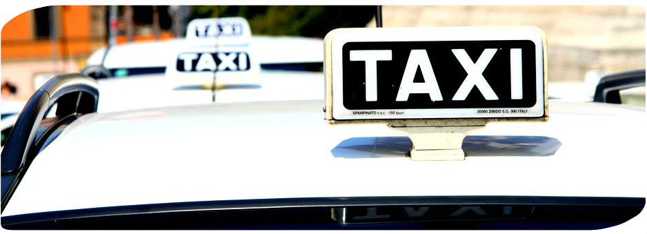 Taxi - Guia para Clientes - Maria das Palavras