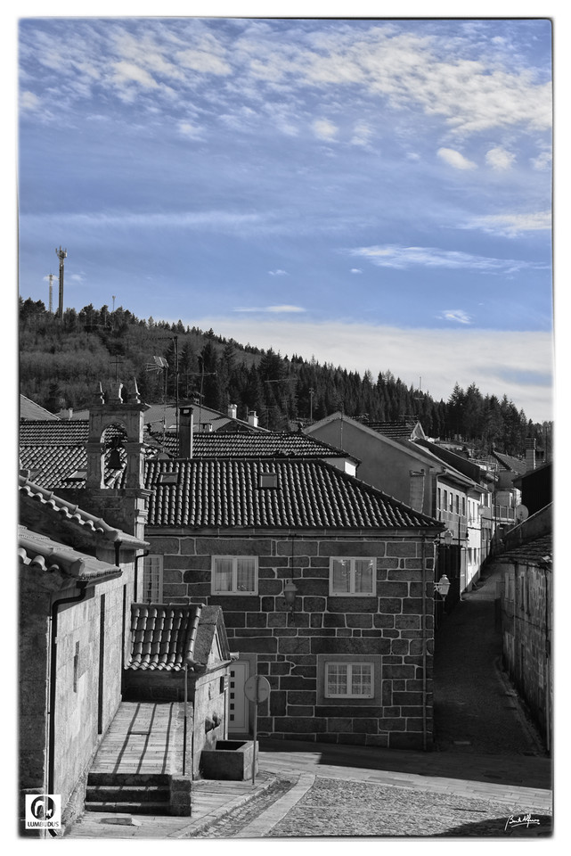 _D752770a.jpg