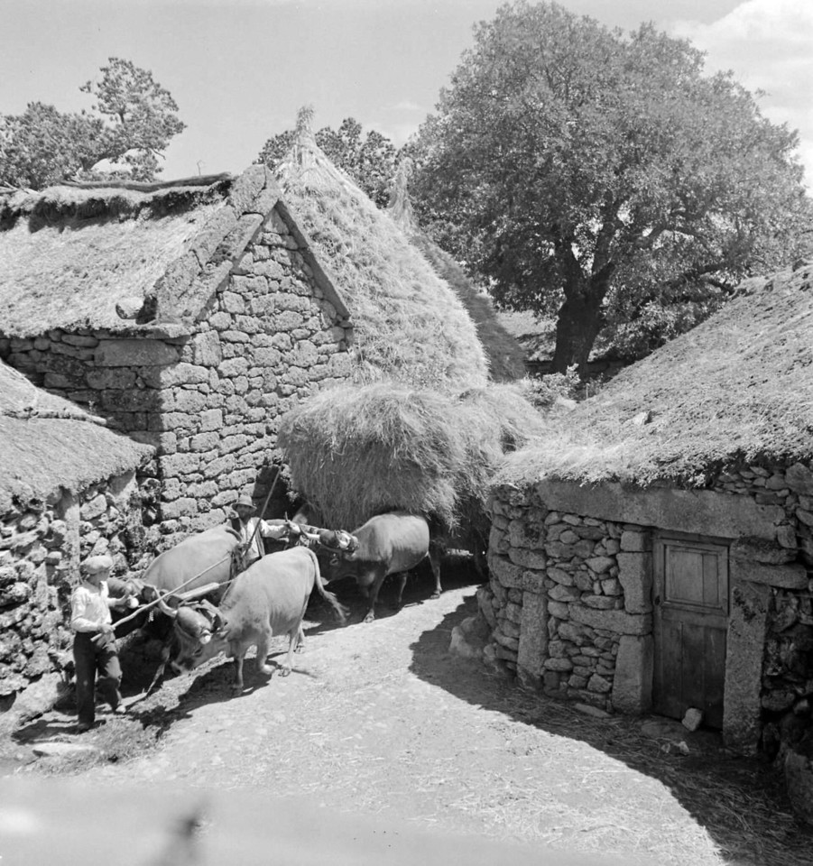 58- foto de artur pastor.jpg 58- foto de artur pastor.jpg