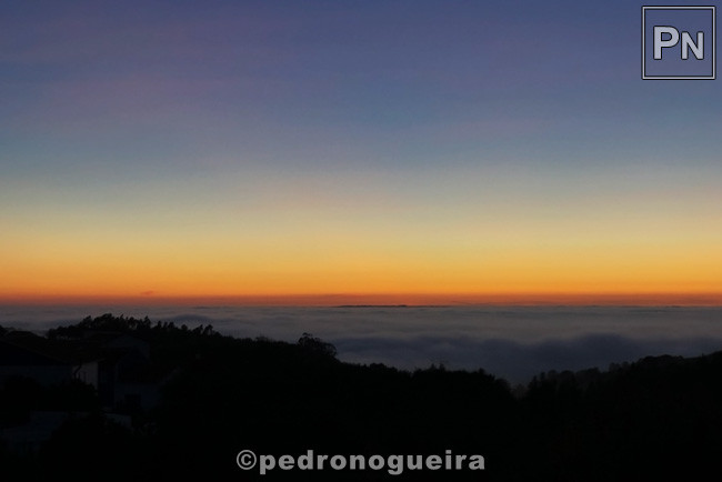 Nov_2020_009 650px.jpg