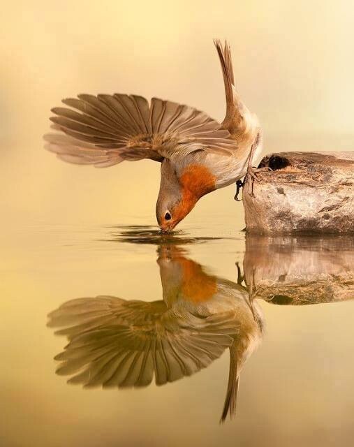 288997517_5206494779438379_4957625812167762841_n.j