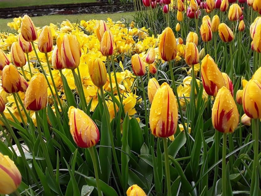 20190428_142003.jpg 20190428_142003.jpg