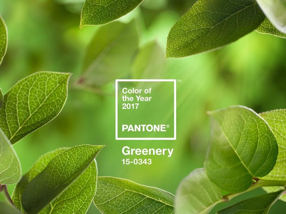 PANTONE-Color-of-the-Year-2017-Greenery-15-0343-le