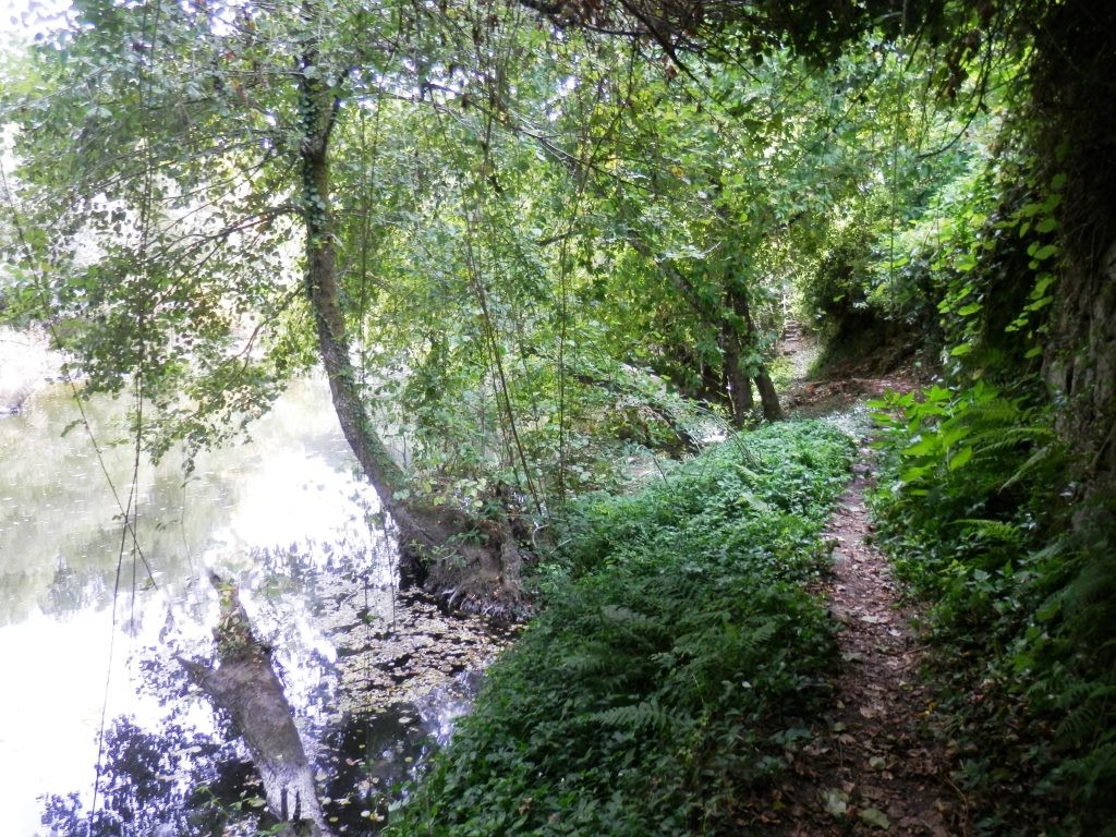 P9110253.JPG P9110253.JPG