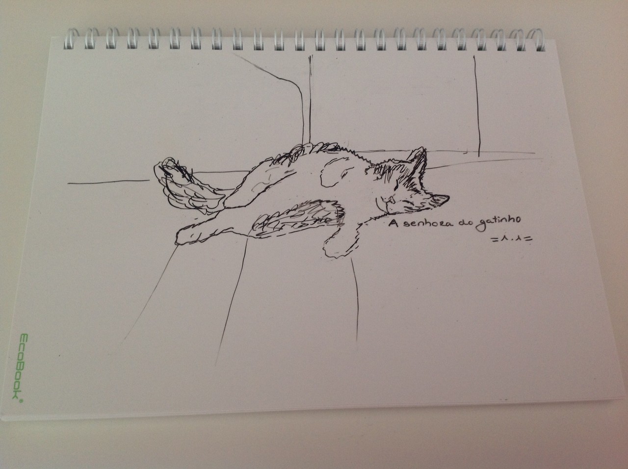 desenho.JPG