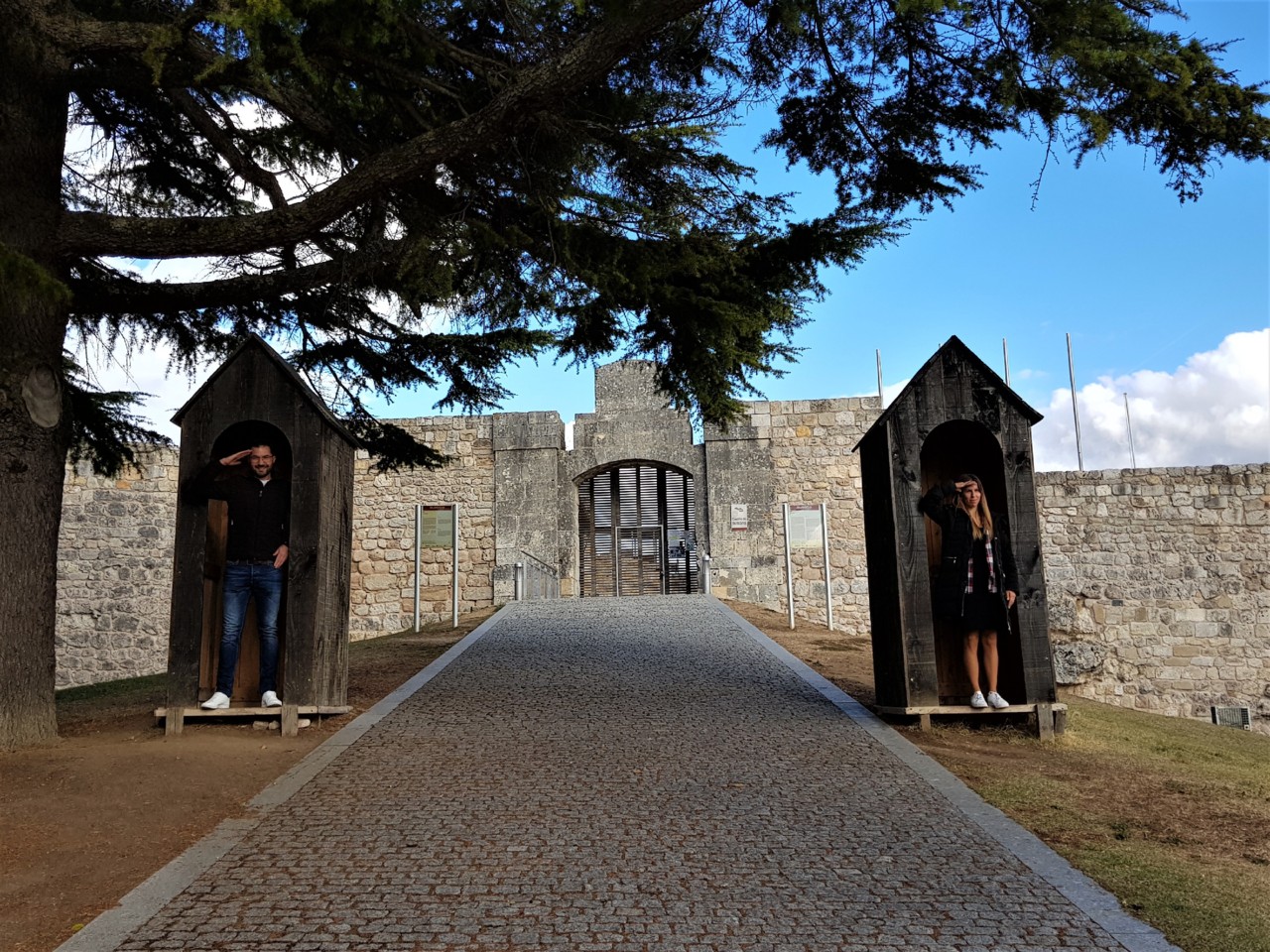 20171103_155423.jpg 20171103_155423.jpg