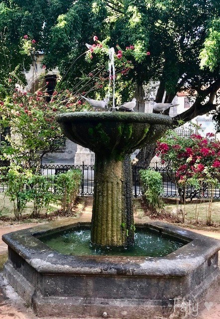 IMG_2838 2.jpg IMG_2838 2.jpg