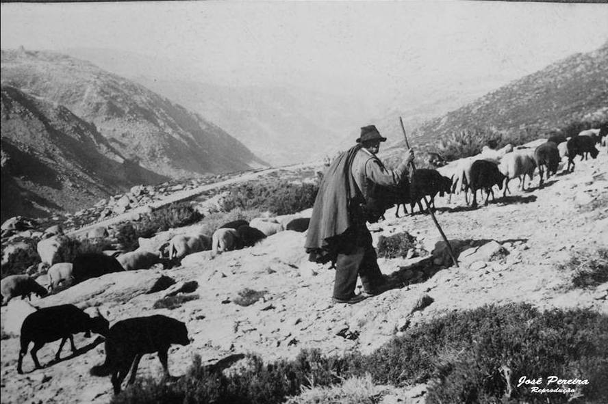 17425094_1236372246480214_6816151414347681128_n.jp