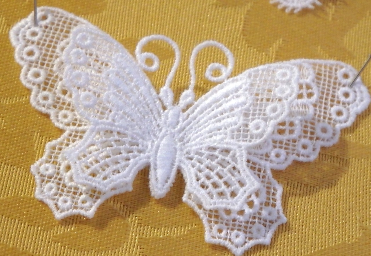 fullsizeoutput_1265.jpeg fullsizeoutput_1265.jpeg