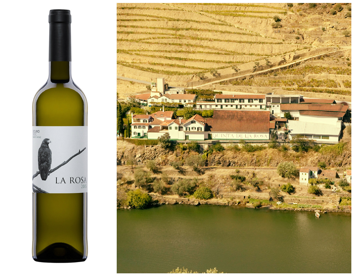 La Rosa branco 2015