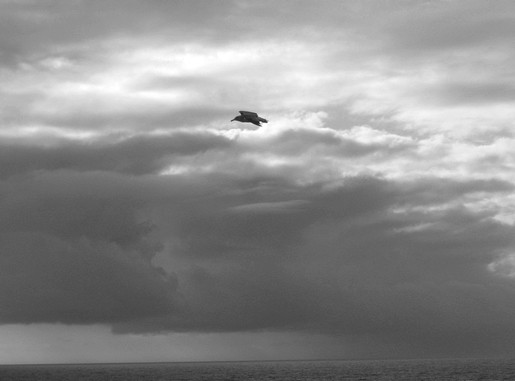 na hora de ir embora