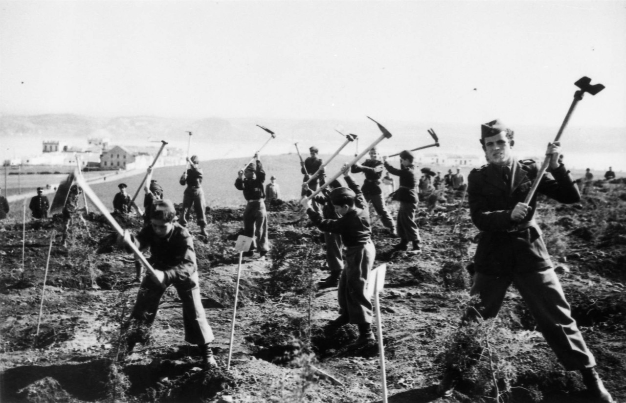 Mocidade Portuguesa plantando árvores, Serra de Monsanto (A.F.C.M.L., c. 1944)