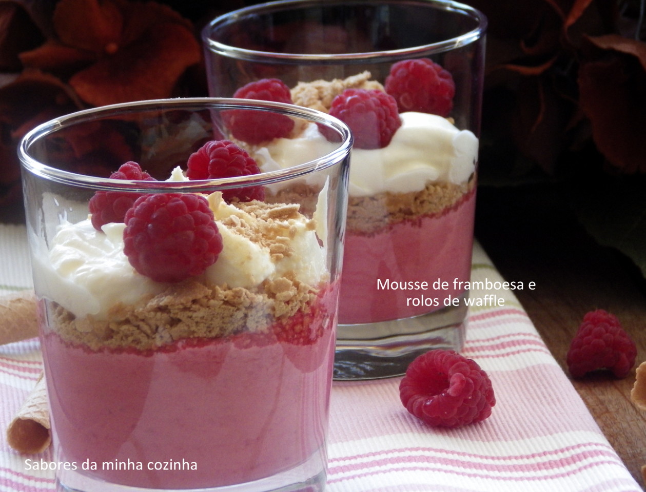 IMGP8640-mousse de framboesa-blog.JPG