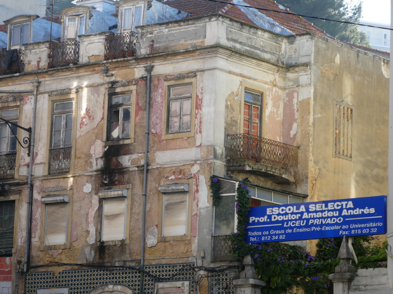 P1000012.JPG