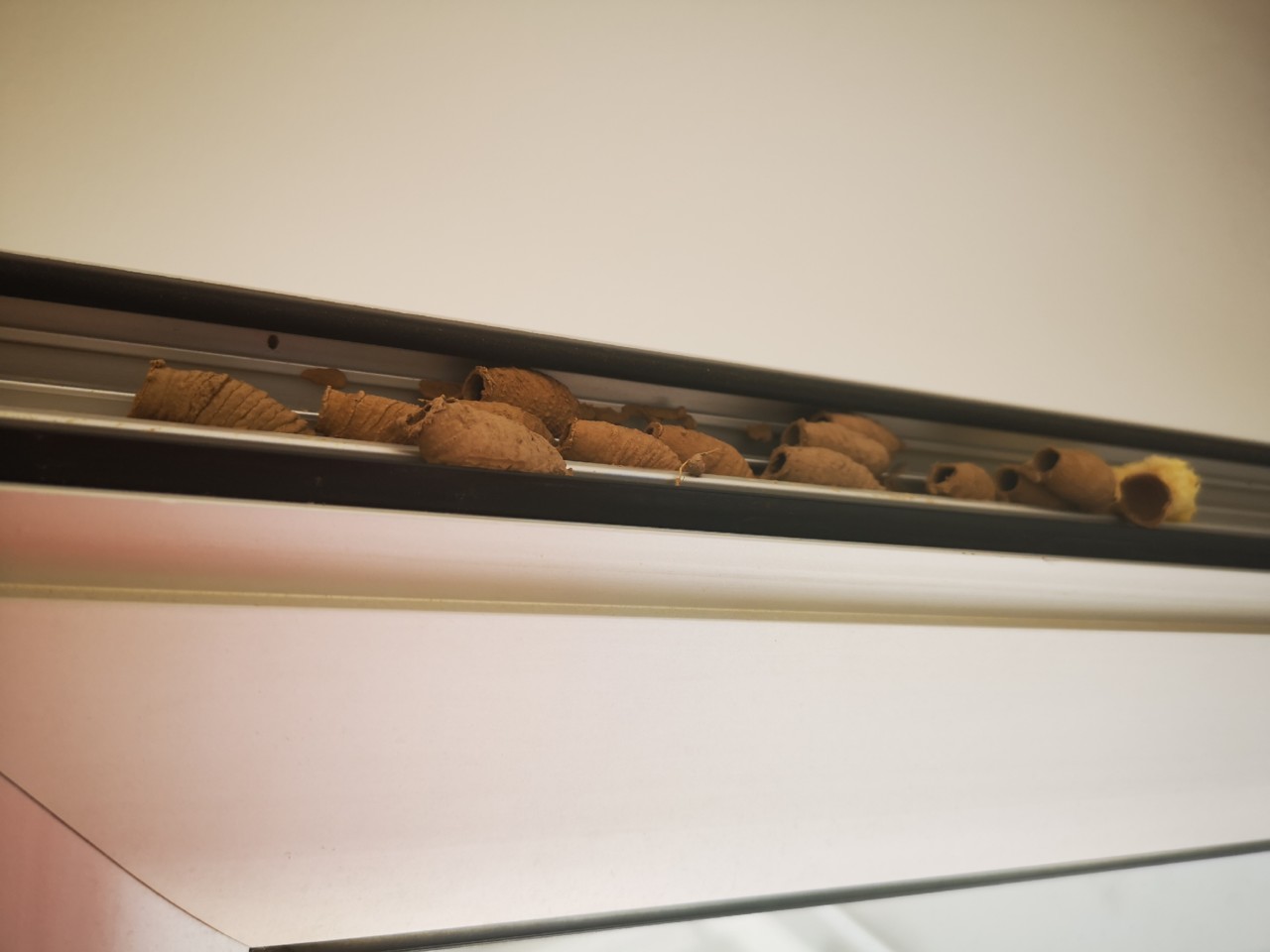 IMG_20190709_162714.jpg IMG_20190709_162714.jpg