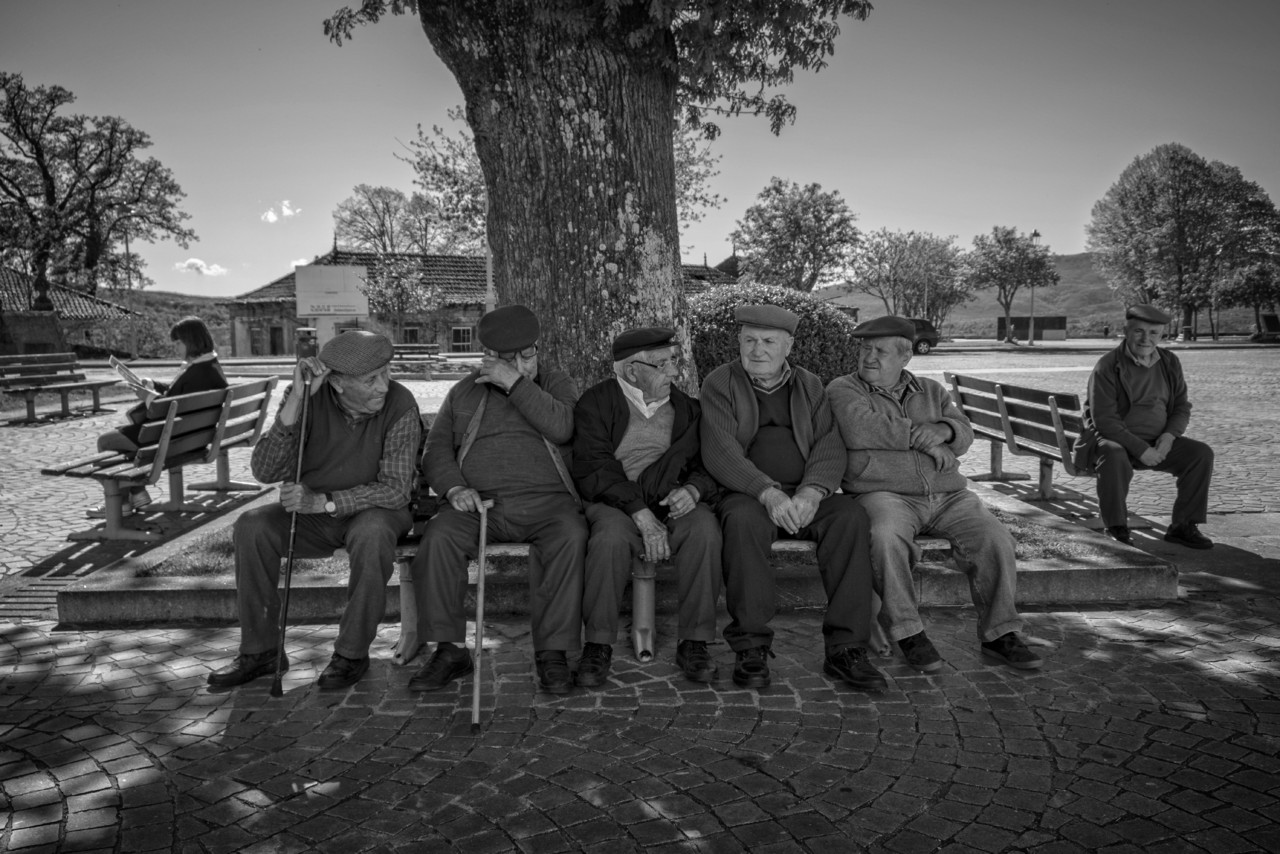 DSCF6671 - cópia copy.jpg