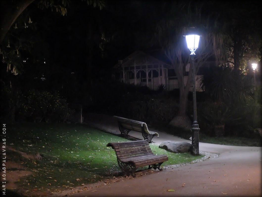 Workshop Fotografia Noturna (modo automático) - Odisseias | Maria das Palavras