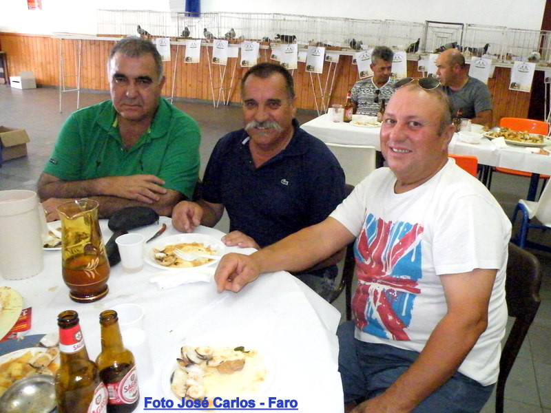 Leilão Ervidel 039.JPG